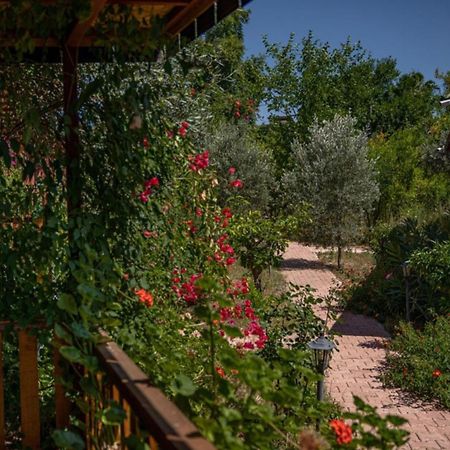 קמר Felicity Hotel & Bungalows מראה חיצוני תמונה