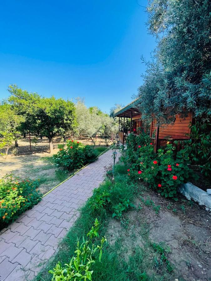 קמר Felicity Hotel & Bungalows מראה חיצוני תמונה