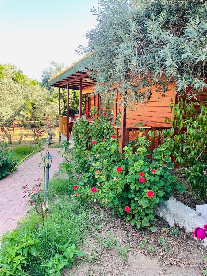 קמר Felicity Hotel & Bungalows מראה חיצוני תמונה