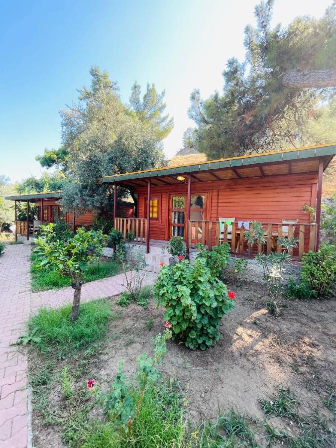 קמר Felicity Hotel & Bungalows מראה חיצוני תמונה