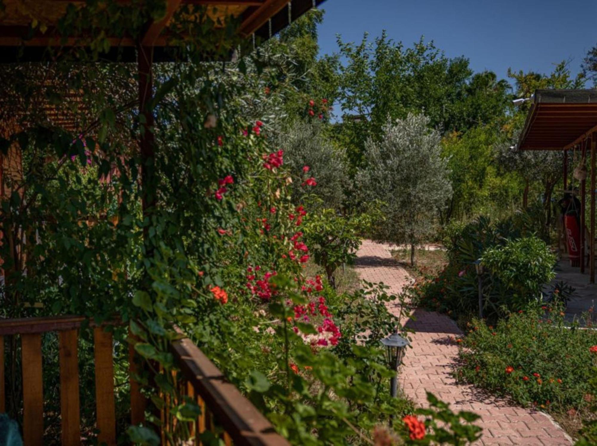 קמר Felicity Hotel & Bungalows מראה חיצוני תמונה