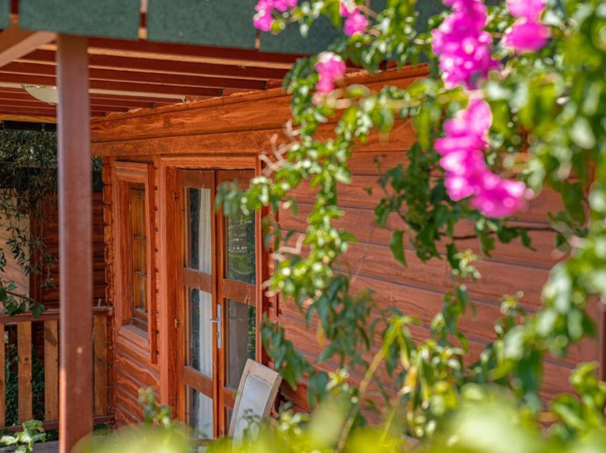 קמר Felicity Hotel & Bungalows מראה חיצוני תמונה