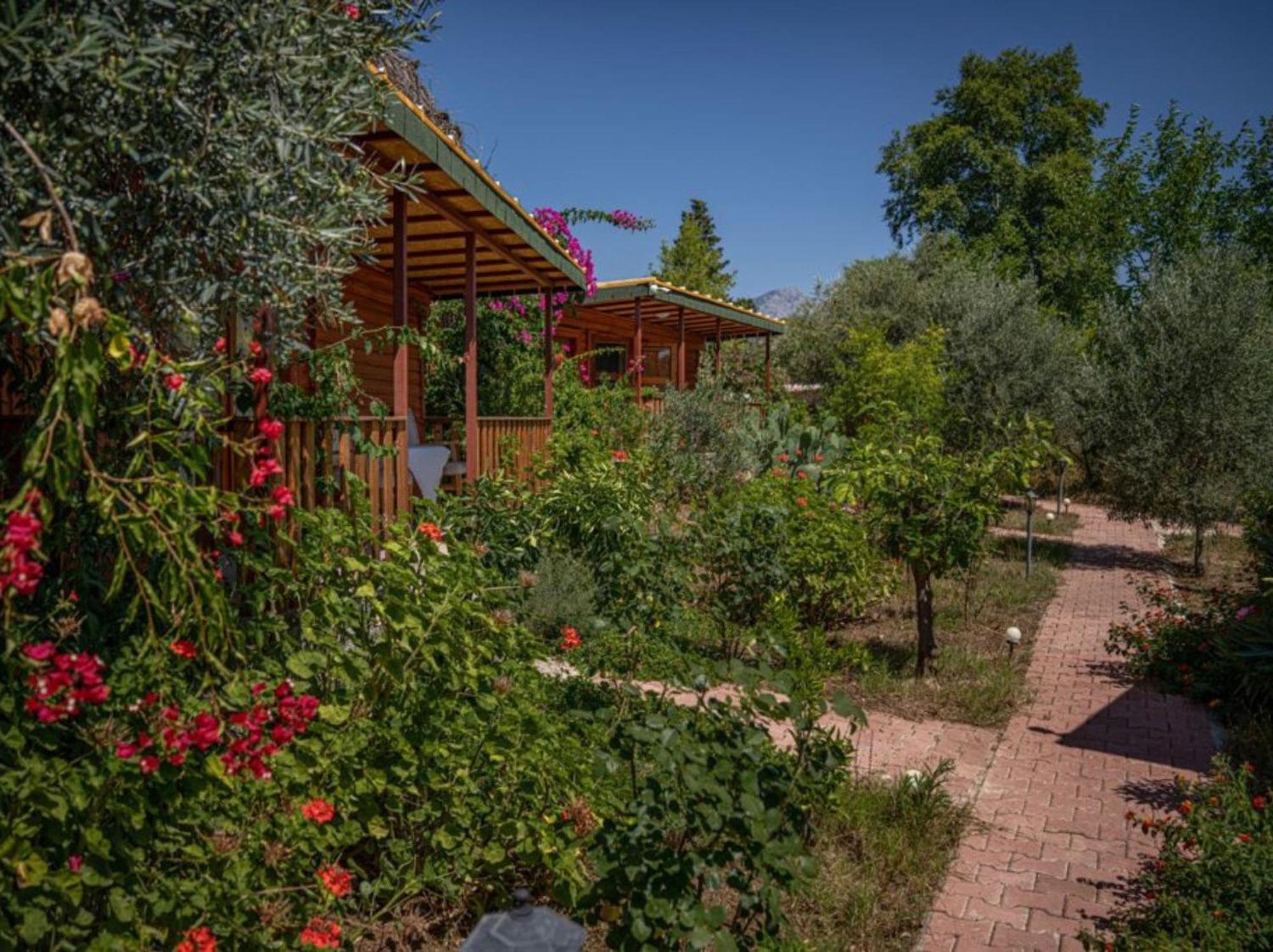 קמר Felicity Hotel & Bungalows מראה חיצוני תמונה