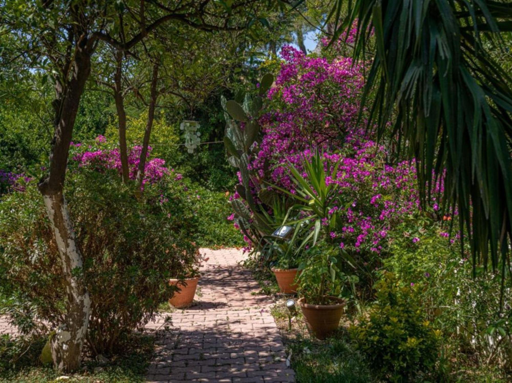 קמר Felicity Hotel & Bungalows מראה חיצוני תמונה