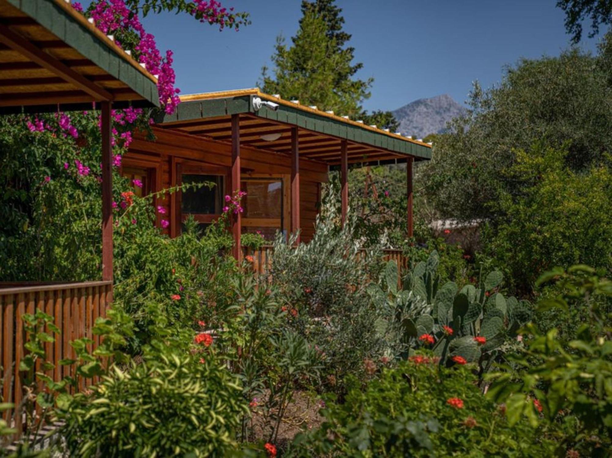 קמר Felicity Hotel & Bungalows מראה חיצוני תמונה